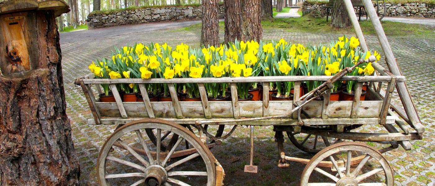 Waldfriedhof