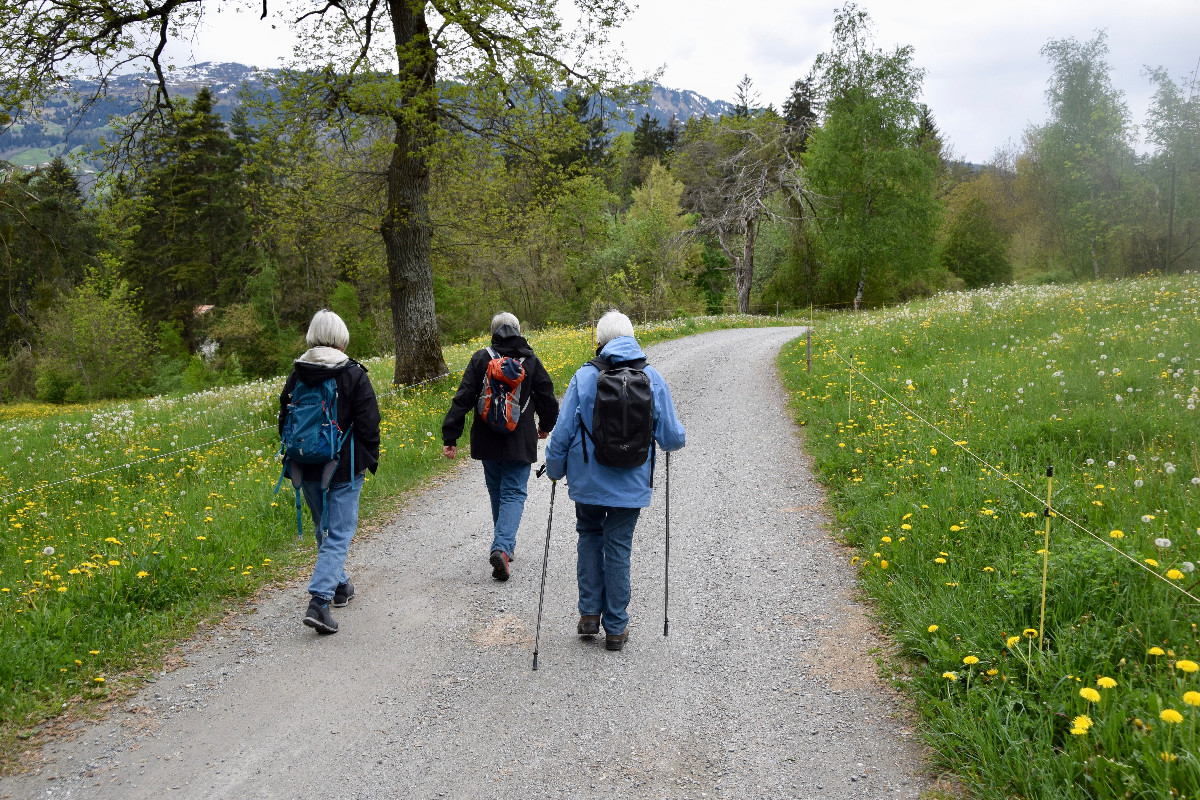 k_g_2021_Auffahrt_auf dem Weg2.jpg