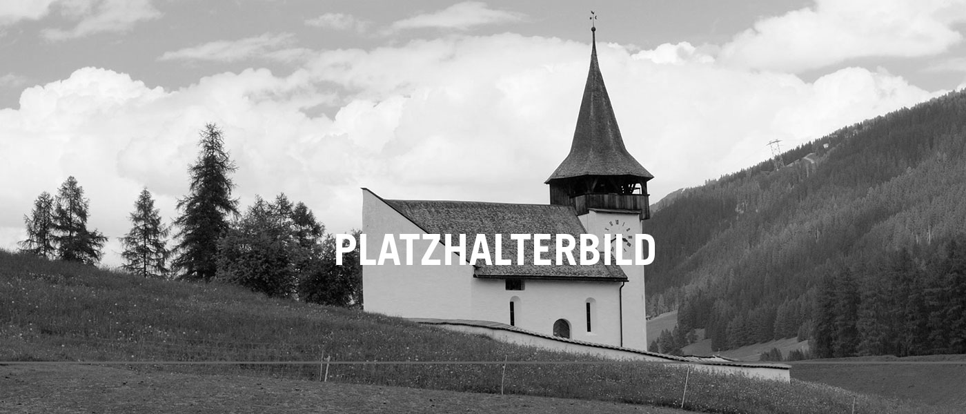 Bildbeschreibung